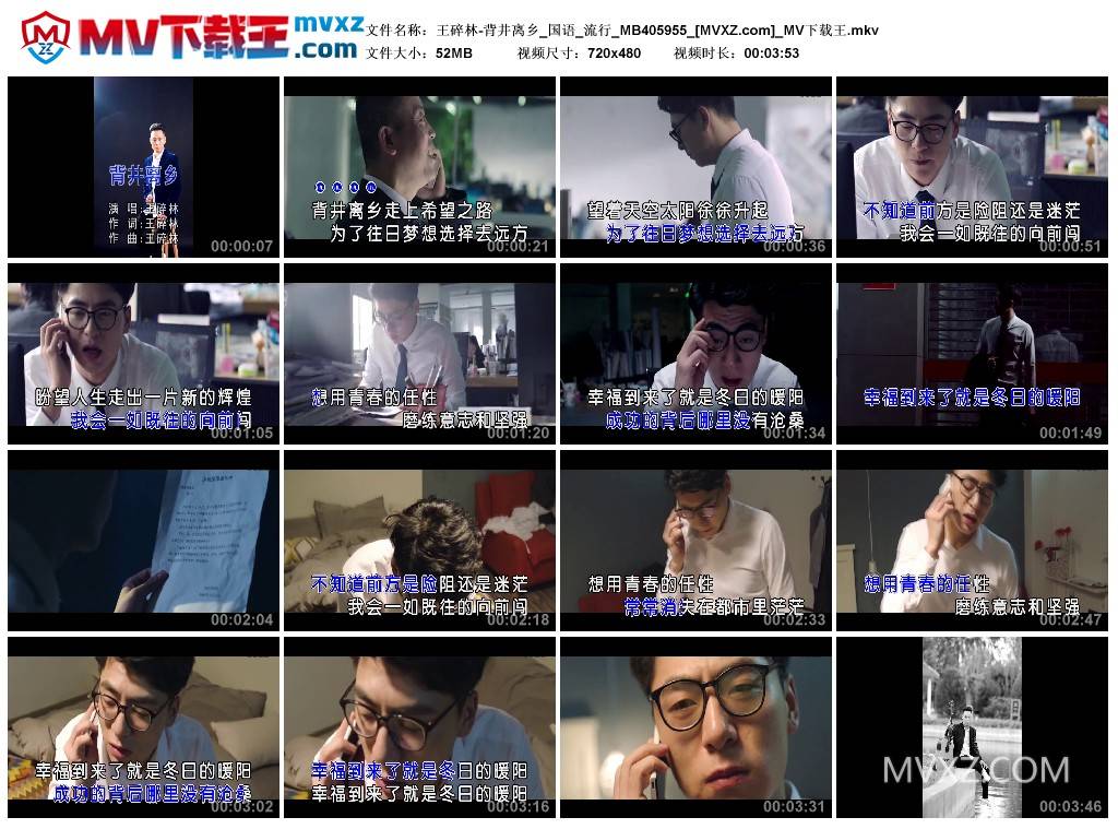 王碎林-背井离乡_国语_流行_MB405955